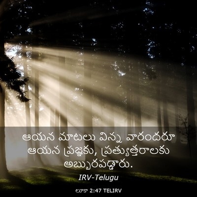 Picture 03 - లూకా 2:47 TELIRV - ఆయన మాటలు విన్న - Bible Verse Picture