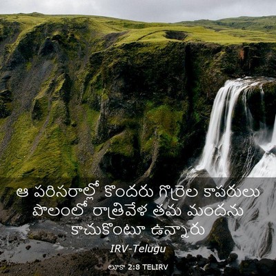 Picture 03 - లూకా 2:8 TELIRV - ఆ పరిసరాల్లో - Bible Verse Picture