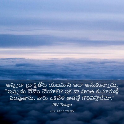 Picture 03 - లూకా 20:13 TELIRV - అప్పుడా - Bible Verse Picture