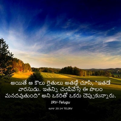 Picture 03 - లూకా 20:14 TELIRV - అయితే ఆ కౌలు - Bible Verse Picture
