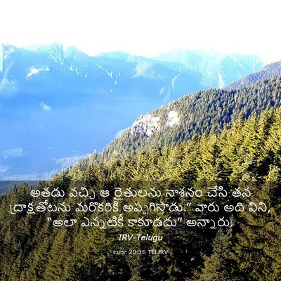 Picture 03 - లూకా 20:16 TELIRV - అతడు వచ్చి ఆ - Bible Verse Picture