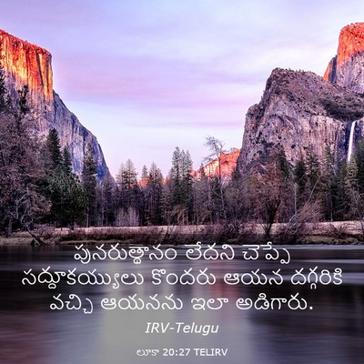Picture 03 - లూకా 20:27 TELIRV - పునరుత్థానం లేదని - Bible Verse Picture