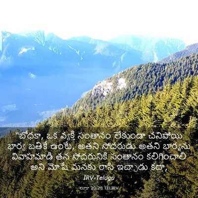 Picture 03 - లూకా 20:28 TELIRV - “బోధకా, ఒక వ్యక్తి - Bible Verse Picture