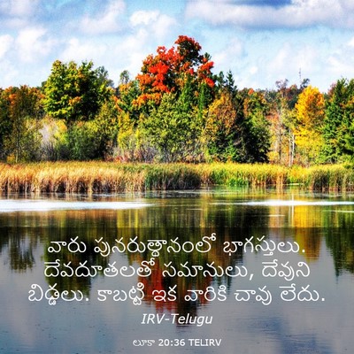 Picture 03 - లూకా 20:36 TELIRV - వారు - Bible Verse Picture