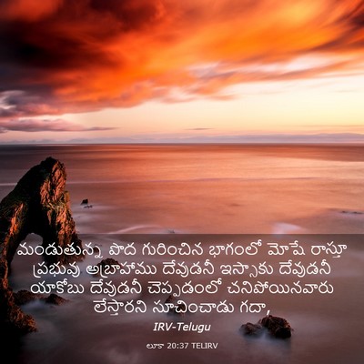 Picture 03 - లూకా 20:37 TELIRV - మండుతున్న పొద - Bible Verse Picture