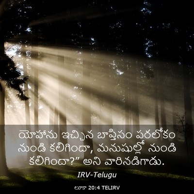 Picture 03 - లూకా 20:4 TELIRV - యోహాను ఇచ్చిన - Bible Verse Picture