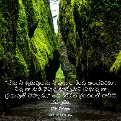 Picture 03 - లూకా 20:43 TELIRV - “నేను నీ - Bible Verse Picture