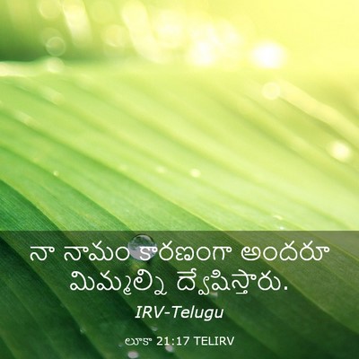 Picture 03 - లూకా 21:17 TELIRV - నా నామం కారణంగా - Bible Verse Picture