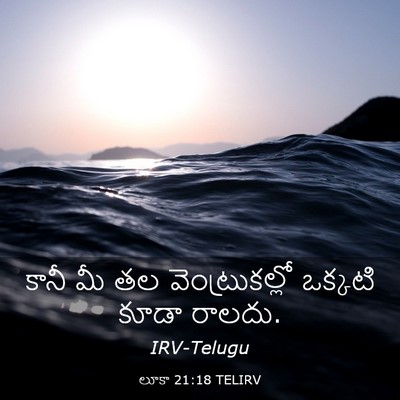 Picture 03 - లూకా 21:18 TELIRV - కానీ మీ తల - Bible Verse Picture
