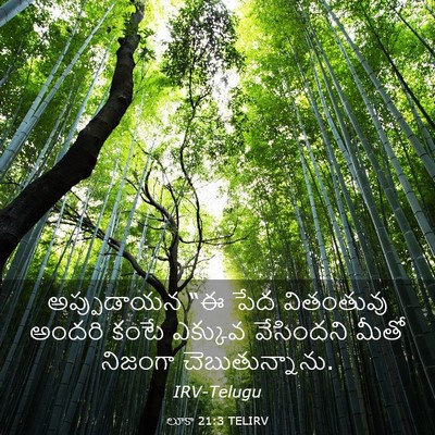 Picture 03 - లూకా 21:3 TELIRV - అప్పుడాయన “ఈ పేద - Bible Verse Picture