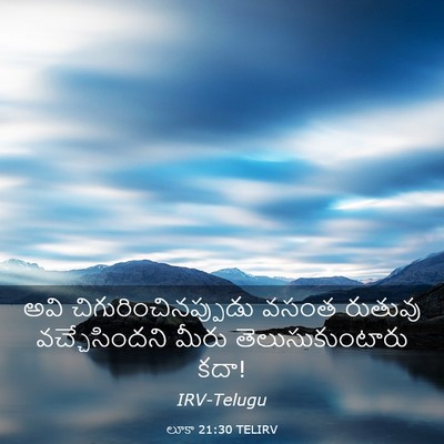 Picture 03 - లూకా 21:30 TELIRV - అవి - Bible Verse Picture