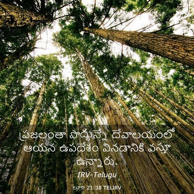 Picture 03 - లూకా 21:38 TELIRV - ప్రజలంతా - Bible Verse Picture