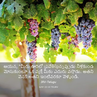 Picture 03 - లూకా 22:10 TELIRV - ఆయన, “మీరు ఊరిలో - Bible Verse Picture