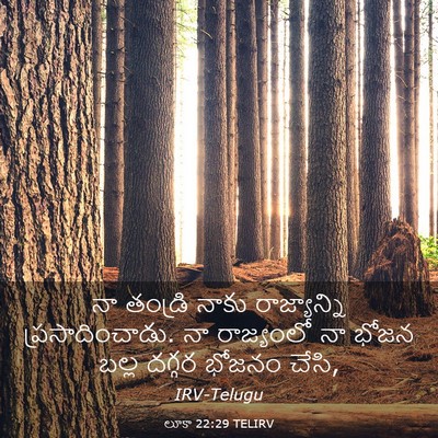 Picture 03 - లూకా 22:29 TELIRV - నా తండ్రి నాకు - Bible Verse Picture