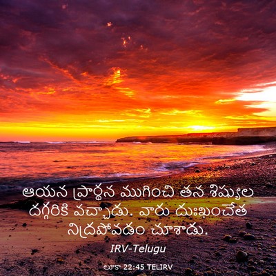 Picture 03 - లూకా 22:45 TELIRV - ఆయన ప్రార్థన - Bible Verse Picture