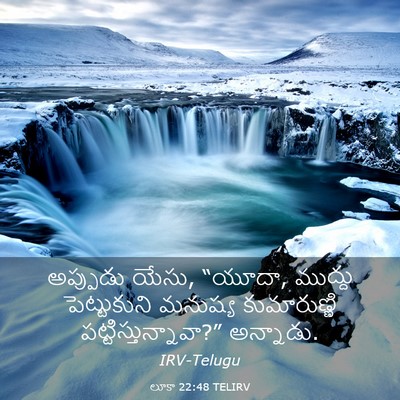 Picture 03 - లూకా 22:48 TELIRV - అప్పుడు యేసు, - Bible Verse Picture