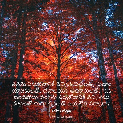 Picture 03 - లూకా 22:52 TELIRV - తనను - Bible Verse Picture