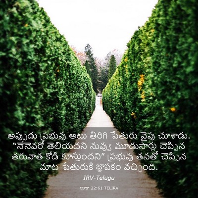 Picture 03 - లూకా 22:61 TELIRV - అప్పుడు ప్రభువు - Bible Verse Picture