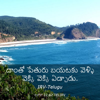 Picture 03 - లూకా 22:62 TELIRV - దాంతో పేతురు - Bible Verse Picture
