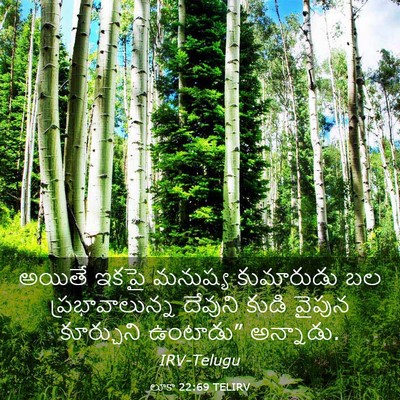 Picture 03 - లూకా 22:69 TELIRV - అయితే ఇకపై మనుష్య - Bible Verse Picture
