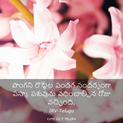 Picture 03 - లూకా 22:7 TELIRV - పొంగని రొట్టెల - Bible Verse Picture