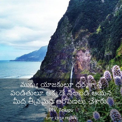 Picture 03 - లూకా 23:10 TELIRV - ముఖ్య యాజకులూ - Bible Verse Picture