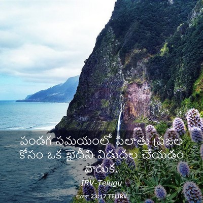 Picture 03 - లూకా 23:17 TELIRV - పండగ సమయంలో - Bible Verse Picture