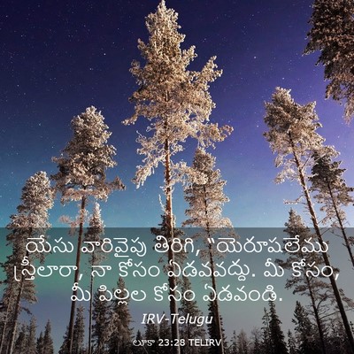 Picture 03 - లూకా 23:28 TELIRV - యేసు వారివైపు - Bible Verse Picture