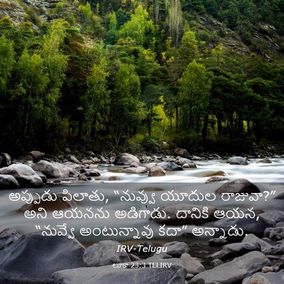 Picture 03 - లూకా 23:3 TELIRV - అప్పుడు పిలాతు, - Bible Verse Picture