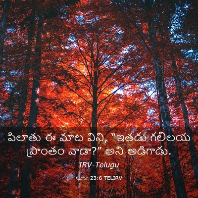Picture 03 - లూకా 23:6 TELIRV - పిలాతు ఈ మాట విని, - Bible Verse Picture