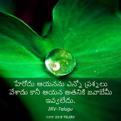 Picture 03 - లూకా 23:9 TELIRV - హేరోదు ఆయనను - Bible Verse Picture