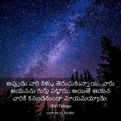 Picture 03 - లూకా 24:31 TELIRV - అప్పుడు వారి - Bible Verse Picture