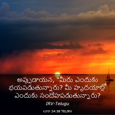 Picture 03 - లూకా 24:38 TELIRV - అప్పుడాయన, “మీరు - Bible Verse Picture
