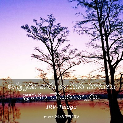 Picture 03 - లూకా 24:8 TELIRV - అప్పుడు వారు ఆయన - Bible Verse Picture