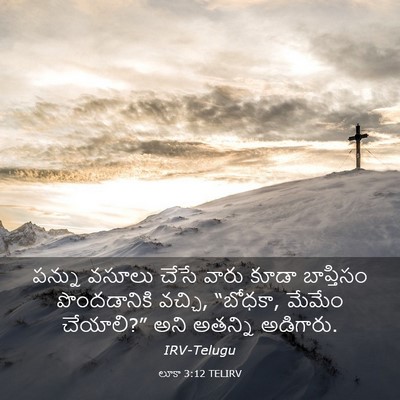 Picture 03 - లూకా 3:12 TELIRV - పన్ను వసూలు చేసే - Bible Verse Picture