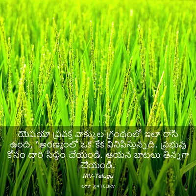 Picture 03 - లూకా 3:4 TELIRV - యెషయా ప్రవక్త - Bible Verse Picture