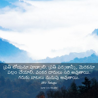 Picture 03 - లూకా 3:5 TELIRV - ప్రతి లోయనూ - Bible Verse Picture
