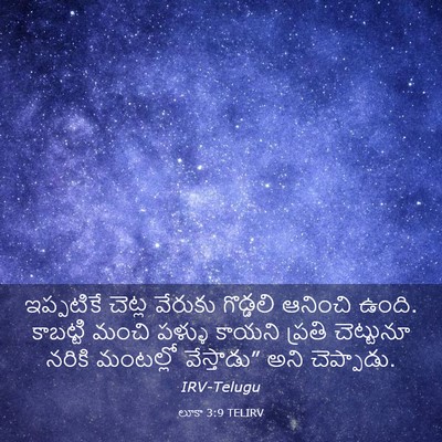 Picture 03 - లూకా 3:9 TELIRV - ఇప్పటికే చెట్ల - Bible Verse Picture