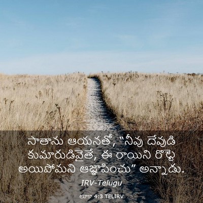 Picture 03 - లూకా 4:3 TELIRV - సాతాను ఆయనతో, - Bible Verse Picture