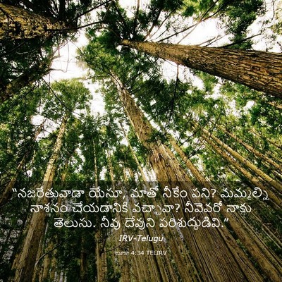 Picture 03 - లూకా 4:34 TELIRV - “నజరేతువాడా యేసూ, - Bible Verse Picture
