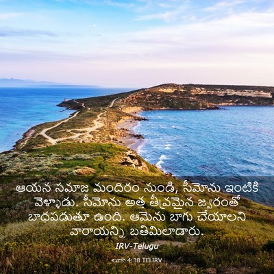 Picture 03 - లూకా 4:38 TELIRV - ఆయన సమాజ మందిరం - Bible Verse Picture