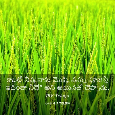 Picture 03 - లూకా 4:7 TELIRV - కాబట్టి నీవు నాకు - Bible Verse Picture