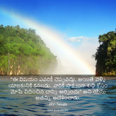 Picture 03 - లూకా 5:14 TELIRV - “ఈ విషయం ఎవరికీ - Bible Verse Picture