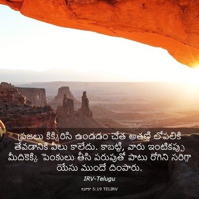 Picture 03 - లూకా 5:19 TELIRV - ప్రజలు కిక్కిరిసి - Bible Verse Picture