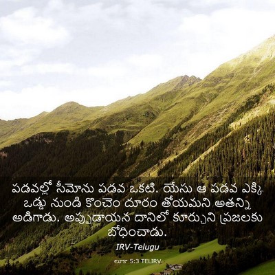 Picture 03 - లూకా 5:3 TELIRV - పడవల్లో సీమోను - Bible Verse Picture