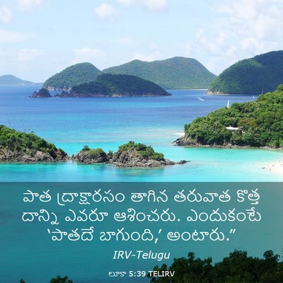 Picture 03 - లూకా 5:39 TELIRV - పాత ద్రాక్షారసం - Bible Verse Picture