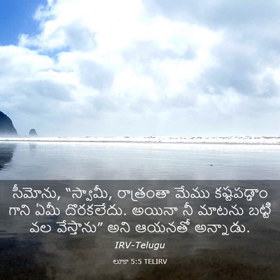 Picture 03 - లూకా 5:5 TELIRV - సీమోను, “స్వామీ, - Bible Verse Picture