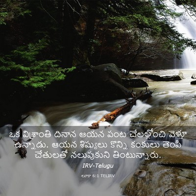 Picture 03 - లూకా 6:1 TELIRV - ఒక విశ్రాంతి - Bible Verse Picture