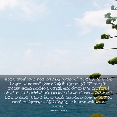 Picture 03 - లూకా 6:17 TELIRV - ఆయన వారితో బాటు - Bible Verse Picture