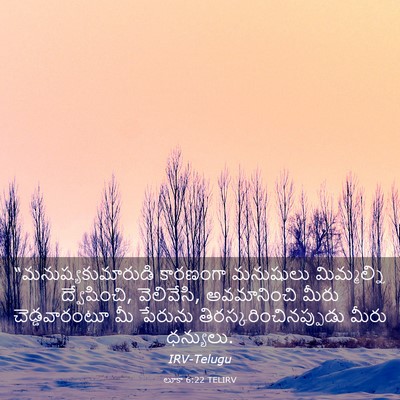 Picture 03 - లూకా 6:22 TELIRV - “మనుష్యకుమారుడి - Bible Verse Picture